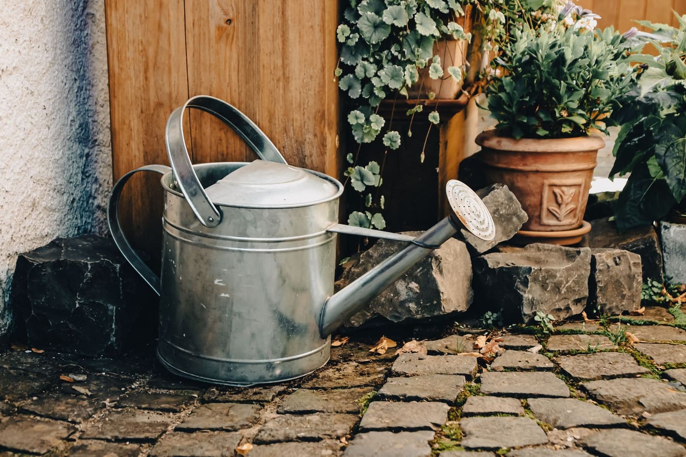 A galvanized watering can beside potted plants on cobblestones